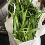 A plastic bag filled with garlic chives